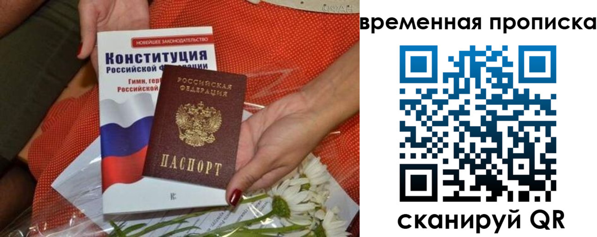 прописка иностранных граждан в Коле